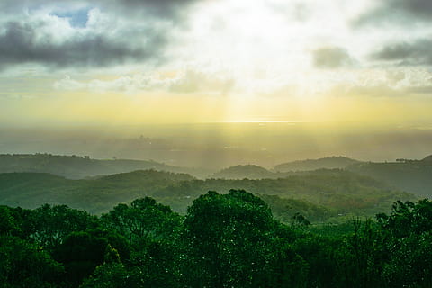 Sturm, Wolken, Sonne, Wald, Adelaide, Nebel, Schönheit in der Natur, ruhige Szene, Szenen - Natur, Ruhe, Baum, Himmel, wolke - himmel, Pflanze, Nicht-städtische Szene, Umgebung, Landschaft, keine Leute, Natur, idyllisch, Sonnenuntergang, Berg, grüne Farbe, draußen, dunstig, 4K, CC0, gemeinfrei, lizenzfrei