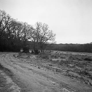 bosc, naturalesa, a l'aire lliure, grava, Carretera bruta, carretera, sòl, camp, rural, analògic, format mig, 120 mm, escaneig de pel·lícules, fotografia de pel·lícula, terra, granja, vegetació, planta, arbre, pastures, paisatge, medi ambient, cel, tranquil·litat, cap gent, escena tranquil·la, escenics - natura, dia, cel clar, escena no urbana, herba, bellesa a la natura, arbre nu, 2K, CC0, domini públic, lliure de regalies