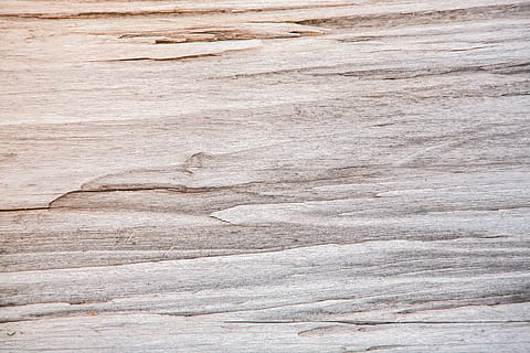 modelo, madera, grano, estructura, antiguo, seco, textura, fondo, superficie, árbol, estructura de madera, naturaleza, tribu, erosionado, baldwin, antecedentes, texturizado, fotograma completo, nadie, material de madera, áspero, de cerca, grano de madera, arquitectura, resumen, gris, tablón, primer plano extremo, pared - característica de la construcción, patrón natural, al aire libre, estructura construida, efecto texturizado, nivel de la superficie, fondos abstractos, 4K, CC0, dominio público, libre de derechos