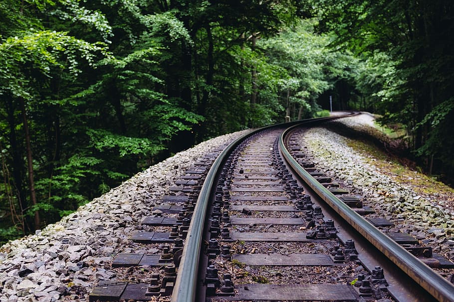via de ferrocarril, bosc, tardor, fons, doblar, ennuvolat, país, camp, creuar, corba, direcció, verd, festa, horitzó, indústria, infraestructura, paisatge, línia, metall, naturalesa, paral·lel, perspectiva, rail, ferrocarril, retro, cel, acer, estiu, pista, pistes, tren, transport, viatjar, arbres, vintage, fusta, vies del ferrocarril, transport per ferrocarril, planta, el camí a seguir, arbre, creixement, perspectiva decreixent, color verd, dia, cap gent, punt de fuga, terra, escena no urbana, bellesa a la natura, connexió, a l'aire lliure, llarg, 4K