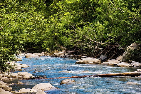 Strom, alpin, Fluss, Grün, Wasser, Natur, Bach, Wald, Blau, Baumstamm, Bäume, draussen, Wildnis, Landschaft, Französische Alpen, Becken, Provence, Frankreich, Südfrankreich, Europa, Felsen, wild, immergrün, Baum, Pflanze, Rock, solide, Rock - Objekt, Schönheit in der Natur, Tag, grüne Farbe, Wachstum, Ruhe, keine Leute, Nicht-städtische Szene, fließendes Wasser, Land, Szenen - Natur, ruhige Szene, draußen, fließend, 5K, CC0, gemeinfrei, lizenzfrei