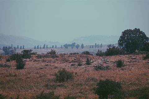verde, Marrone, campo d'erba, nuvole, luce del giorno, deserto, ambiente, campo, nebbioso, erba, paesaggio, montagne, natura, all'aperto, rocce, panoramico, cielo, alberi, albero, pianta, la tranquillità, scenics - natura, scena tranquilla, nessuno, bellezza nella natura, terra, scena non urbana, nebbia, crescita, giorno, montagna, 2K, CC0, dominio pubblico, privo di copyright