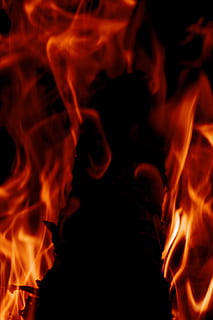 con2011, abstrakt, Hintergrund, wunderschönen, lodern, lodernd, brennen, Nahansicht, explodieren, Explosion, Feuer, Flamme, Hitze, heiß, Verbrennung, Hitze - Temperatur, Feuer - natürliches Phänomen, Kommunikation, Zeichen, orange Farbe, Warnschild, Natur, Bewegung, schwarzer Hintergrund, keine Leute, rot, Camping, Lagerfeuer, Umgebung, Inferno, 2K, CC0, gemeinfrei, lizenzfrei
