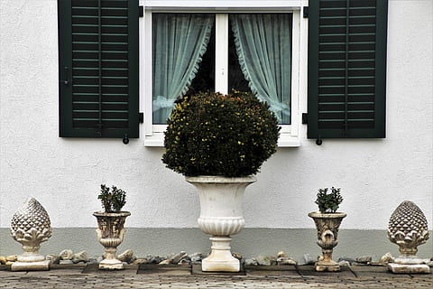 Haus, Fenster, Dekoration, Frühling, Fensterläden, Fassade, Niemand, die Architektur, Familie, Aussehen, Stil, Gebäude, Fassaden, Wand des Hauses, Eigentum, Verlangen, dekorativ, Zahl, das Fenster, Lake Dusia, Rahmen, Wand, Textur, altes Fenster, Bau und Konstruktion, Antiquität, Feld, Topf, Nahansicht, dunkle Wolken, nach dem Regen, Weiß, Glas, Ornament, die tradition von, extern, am Hof ​​von, gebaute Struktur, Gebäudehülle, Tag, Pflanze, keine Leute, Wachstum, Topfpflanze, Natur, draußen, Baum, grüne Farbe, Kunst und Handwerk, Bonsai Baum, Skulptur, Darstellung, Topiary, Statue, Blumentopf, aufwendig, 5K, CC0, gemeinfrei, lizenzfrei