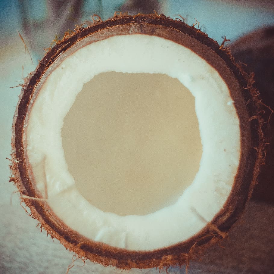 closca de coco marró, menjar, planta, nou, vegetals, fruita, coco, forat, rave, gerds, cacauet, mantega de cacauet, suro, kiwi, papaia, plàtan, vaixell, barca de rems, vehicle, canoa, transport, primer pla, menjar i beguda, alimentació saludable, cap gent, benestar, natura morta, forma geomètrica, cercle, sol objecte, forma, directament a sobre, a l'interior, dia, frescor, centrar-se en primer pla, naturalesa, 2K