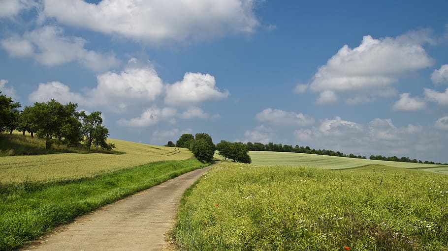 pathway, grøn, græsfelt, skyer, Mark, græs, landskab, natur, vej, himmel, træer, plante, sky - himmel, grøn farve, skønhed i naturen, ro, rolig scene, scenics - natur, miljø, jord, træ, vækst, ingen mennesker, dag, ikke-urbane scene, sollys, udendørs, 4K