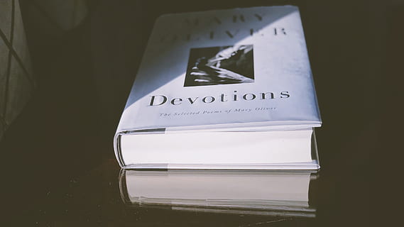 devocions, mary oliver, text, guió occidental, comunicació, a l'interior, primer pla, cap gent, tir de l'estudi, lletra majúscula, signe, natura morta, informació, paper, fons negre, Color blanc, senyal d'advertència, document, sol objecte, orientació, signe d'informació, missatge, 4K, CC0, domini públic, lliure de regalies