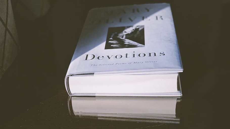 devocions, mary oliver, text, guió occidental, comunicació, a l'interior, primer pla, cap gent, tir de l'estudi, lletra majúscula, signe, natura morta, informació, paper, fons negre, Color blanc, senyal d'advertència, document, sol objecte, orientació, signe d'informació, missatge, 4K