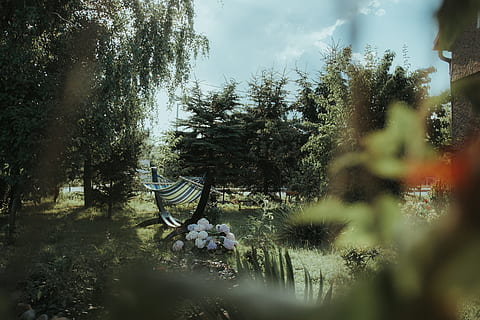 portatile, amaca, accanto, fiore, cortile, albero, fogliame, erba, buio, verde, rilassare, riposo, estate, luce del sole, bel tempo, tramonto, pigrizia, tempo, città, Nysa, lago, all'aperto, natura, rilassamento, parco - spazio creato dall'uomo, persone, colore verde, nessuno, giorno, stili di vita, seduta, giardino formale, vacanze, scena tranquilla, sedia, 4K, CC0, dominio pubblico, privo di copyright