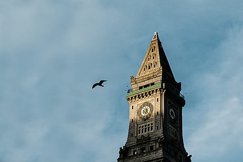 fugl, klokke tårn, tårn, ur, tid, skyer, bygget struktur, arkitektur, bygning udvendig, lav vinkel visning, dyr, himmel, dyre temaer, bygning, hvirveldyr, sky - himmel, dyreliv, rejsemål, by, dyr i naturen, et dyr, flyvende, ingen mennesker, høj - høj, udendørs, gotisk stil, uret ansigt, 5K, CC0, offentligt domæne, royaltyfrie