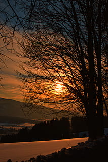 solnedgang, sne, Skov, træer, kold, skumring, skyer, naturskøn, himmel, bjerge, vandring, vinterlige, aften, mystisk, mystik, vidunderlig, romantisk, Steiermark, lammerarlm, træ, silhuet, bare træ, plante, skønhed i naturen, scenics - natur, natur, ro, afdeling, ingen mennesker, rolig scene, orange farve, vand, sø, idyllisk, landskab, udendørs, 4K, CC0, offentligt domæne, royaltyfrie