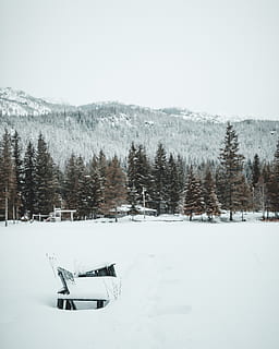 Schneeberg, tagsüber, Baum, Pflanze, abies, Tanne, draußen, Natur, Schnee, Pfeifer, Kanada, Kiefer, Winter, Eis, Landschaft, Nadelbaum, Berg, Himmel, Sturm, gefroren, Bäume, kalte Temperatur, Schönheit in der Natur, Szenen - Natur, Tag, ruhige Szene, weiße Farbe, keine Leute, Ruhe, Land, Feld, Nicht-städtische Szene, Umgebung, Abdeckung, schneit, schneebedeckter Berg, 4K, CC0, gemeinfrei, lizenzfrei