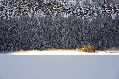graue Kiefern, Baum, Sonne, Berg, Winter, Deutschland, Wald, Nebel, Sonnenaufgang, eibsee, See, golden, kalt, bavarium, zugspitze, sandig, Sandstrand, Strand, Seeseite, Waldsee, grau, Schnee, kalte Temperatur, Pflanze, Natur, keine Leute, Szenen - Natur, gefroren, Schönheit in der Natur, Land, Tag, Ruhe, ruhige Szene, Umgebung, draußen, Landschaft, Nadelbaum, schneit, Kiefer, Kiefernwald, 5K, CC0, gemeinfrei, lizenzfrei