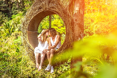 selective, focus photography, kissing, couple, affection, beautiful, blur, emotion, female, focus, hammock, happiness, kiss, love, lovers, male, man, partners, passion, romance, swing, togetherness, woman, plant, adult, women, tree, nature, two people, sitting, leisure activity, people, young adult, day, young women, green color, full length, smiling, sunlight, positive emotion, outdoors, hairstyle, 5K, CC0, public domain, royalty free