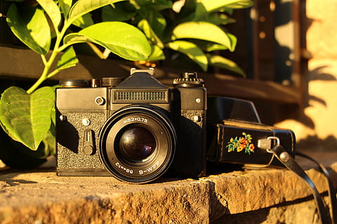 Sovjet, camera, zenit, wijnoogst, technologie, oud, artikel, camera - fotografische apparatuur, fotografie thema's, fotografische apparatuur, retro gestileerd, lens - optisch instrument, detailopname, antiek, blad, deel van de plant, geen mensen, focus op de voorgrond, natuur, fotograferen, fabriek, groene kleur, digitale camera, 4K, CC0, publiek domein, royaltyvrij