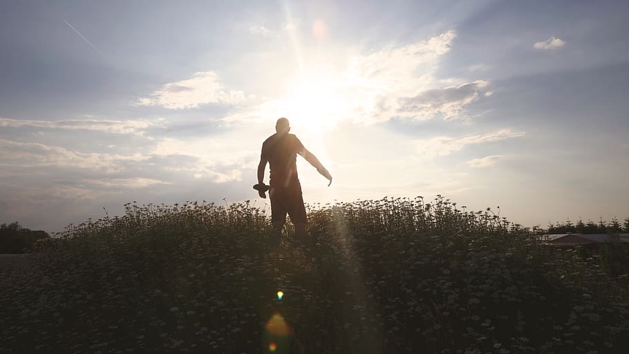 sylwetka, mężczyzna, dzień, chmury, pole, osoba, fotograf, niebo, słońce, światło słoneczne, jedna osoba, Natura, styl życia, flara obiektywu, zachód słońca, spędzania wolnego czasu, chmura - niebo, promień słońca, na stojąco, piękno natury, mężczyźni, widok z tyłu, pełna długość, roślina, prawdziwi ludzie, na dworze, jasny, 5K