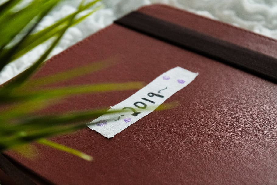 enquadernador de fitxers, planta, carpeta d'arxius, text, 2019, estètic, revista, publicació de diari, agenda, fons de pantalla, femení, llibre, backround, catifa, paper, sobre, decoració de la llar, correu electrònic, dossier, roba de llit, primer pla, a l'interior, guió occidental, enfocament selectiu, comunicació, part del cos humà, taula, etiqueta, centrar-se en primer pla, mà humana, una persona, moneda de paper, negocis, color verd, natura morta, full, 4K