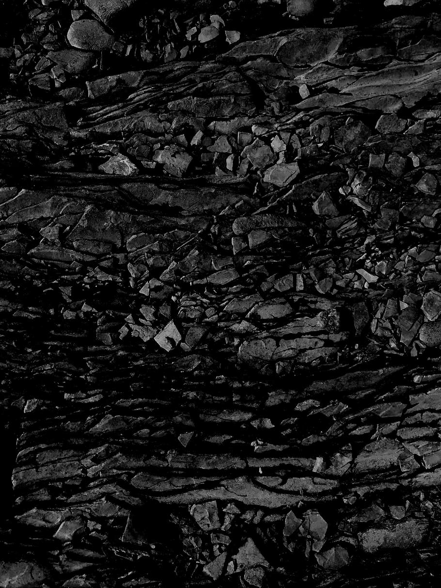 Kanada, québec, schwarz, Muster, Textur, Rock, Vollbild, Hintergründe, keine Leute, Natur, texturiert, Baum, Pflanze, Wachstum, Rau, Nahansicht, draußen, Tag, solide, Baumstamm, Kofferraum, Ruhe, Holz - Material, Borke, 4K