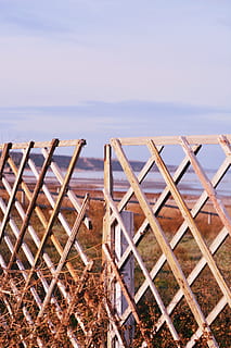 pole, plot, nebe, Pozadí, Příroda, tapeta na zeď, vsco, krajina, horizont, květ, moře, voda, klid, klidné scény, hranice, bariéra, den, horizont nad vodou, pláž, nikdo, přistát, krása v přírodě, zábradlí, scenics - příroda, bezpečnostní, venku, 5K, CC0, veřejná doména, bez autorských práv