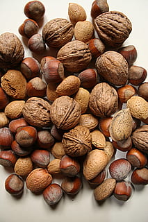 Nuss, Nüsse, Lebensmittel, Schale, köstlich, gesund, braun, Walnüsse, Ernährung, lecker, natürliches Produkt, Mandel, Haselnuss, Nussbaum, Weihnachten, Deko, knappern, Essen, Öko, Essen und Trinken, Nuss - Essen, große gruppe von gegenständen, Stillleben, drinnen, Frische, Wohlbefinden, gesundes Essen, Fülle, Studioaufnahme, Nahansicht, weißer Hintergrund, keine Leute, High Angle View, Snack, 2K, CC0, gemeinfrei, lizenzfrei