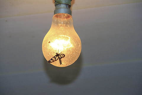 Birne, fliegt, die Glühbirne, beleuchtet, Lichtanlage, Elektrizität, glühend, Glühfaden, drinnen, Licht, Nahansicht, elektrisches Licht, einzelnes Objekt, keine Leute, Kraftstoff- und Stromerzeugung, Glas - Material, Technologie, Licht - natürliches Phänomen, Wandbau - Funktion, transparent, Netzteil, elektrische Ausrüstung, elektrische Lampe, elektrische Komponente, 4K, CC0, gemeinfrei, lizenzfrei