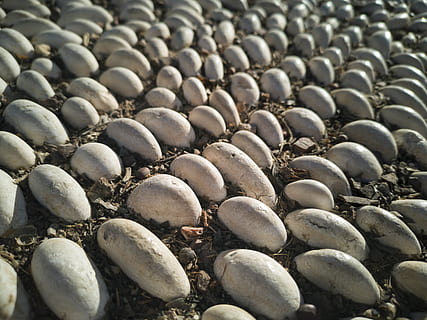 pedra, textura, padronizar, pavimento, abstrato, parede, as pedras são, chão, estrutura, rude, modelo, superfície, calçada, velho, material, estrada, concreto, cascalho, perspectiva, grande grupo de objetos, abundância, origens, quadro completo, ninguém, ainda vida, dia, pedra - objeto, natureza, seixo, Rocha, sólido, fechar-se, texturizado, ao ar livre, de praia, comida e bebida, visão de alto ângulo, 5K, CC0, domínio público, royalty free