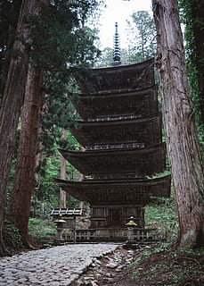 Castanho, castelo, cercado, arvores, arquitetura, construção, pagode, templo, adoração, santuário, árvore, plantar, Japão, tronco de árvore, coluna, pilar, abeto, abies, pau-brasil, clarão, leve, laje, jardim, mandril, estrutura construída, floresta, natureza, tronco, dia, ninguém, crença, terra, religião, velho, crescimento, exterior do edifício, local de culto, história, espiritualidade, ao ar livre, 4K, CC0, domínio público, royalty free