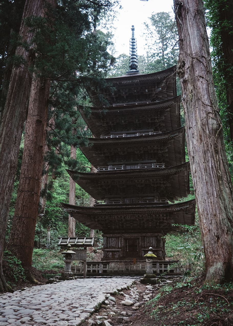 braun, Schloss, umgeben, Bäume, die Architektur, Gebäude, Pagode, Tempel, Anbetung, Schrein, Baum, Pflanze, Japan, Baumstamm, Säule, Tanne, abies, Redwood, Fackel, Licht, Steinplatte, Garten, Laube, gebaute Struktur, Wald, Natur, Kofferraum, Tag, keine Leute, Glauben, Land, Religion, alt, Wachstum, Gebäudehülle, Anbetungsstätte, Geschichte, Spiritualität, draußen, 4K