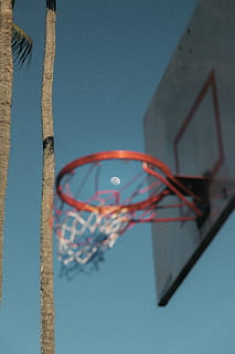 modrá obloha, obruč, sport, sportovní, strom, Basketball, palma, venku, letní, basketbalový ráfek, basketbalová síť, moonshot, činností, měsíců, hry, dlaně, basketbalový koš, hra, opěradlo, basketbal opěradlo, nebe, nízký úhel pohledu, basketbal - sport, modrý, Příroda, den, nikdo, architektura, čisté nebe, stavba, kov, sportovní vybavení, zaměřit se na popředí, nástěnný prvek, exteriér budovy, síť - sportovní vybavení, detail, 5K, CC0, veřejná doména, bez autorských práv