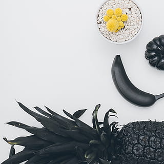pinya, blanc, superfície, planta, fruita, fotografia de scott webb, Londres, Canadà, menjar, carbassa, plàtan, vegetals, còpia espai, fons blanc, coixí, cabell, albergínia, nabiu, pol·len, flor, a l'interior, menjar i beguda, alimentació saludable, cap gent, natura morta, benestar, frescor, tir de l'estudi, primer pla, naturalesa, directament a sobre, part de la planta, full, groc, taula, 2K, CC0, domini públic, lliure de regalies