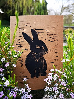 art, targeta, Pasqua, conill, llebre, bonic, primavera, orelles, animal, herba, colorit, adorable, mascota, naturalesa, dolç, temes d'animals, cap gent, representació, representació animal, planta, dia, art i artesania, mamífer, un animal, text, escultura, primer pla, creativitat, flor, vertebrats, comunicació, planta amb flors, animals domèstics, a l'aire lliure, 2K, CC0, domini públic, lliure de regalies