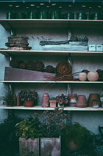 assorterede farvebeholdere, hylde, hylder, ingen mennesker, arrangement, stor gruppe af objekter, indendørs, beholder, valg, detail, variation, butik, til salg, bestille, stilleben, overflod, i en række, potteplante, dag, Kunst og håndværk, 5K, CC0, offentligt domæne, royaltyfrie