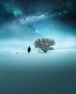 mand, bar, træ, nat, bare træ, kold, daggry, aften, tåge, landskab, måne, person, himmel, sne, stjernehimmel, sol, solnedgang, vejr, vinter, skønhed i naturen, scenics - natur, natur, ro, plante, kold temperatur, vand, rolig scene, ingen mennesker, jord, et dyr, udendørs, dyre temaer, 4K, CC0, offentligt domæne, royaltyfrie