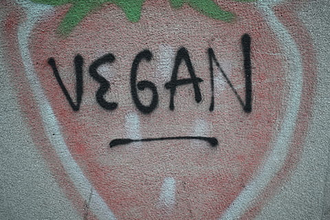 testo vegano, testo, comunicazione, sceneggiatura occidentale, graffiti, nessuno, caratteristica della parete, parete, vernice spray, avvicinamento, colore nero, strutturato, emozione, arte e artigianato, creatività, emozione positiva, lettera maiuscola, dipingere, arte di strada, ribellione, Messaggio, 5K, CC0, dominio pubblico, privo di copyright
