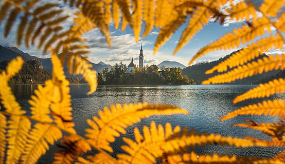 Lake Bled, Yaprak, Su, ağaç, orman, ormanlık, yapraklar, yeşillik, sonbahar, düşmek, çerçeve, göl, kilise, din, inanç, peyzaj, eğreltiotu, gökyüzü, bulut, bina, çerçeveli, bitki, doğa, doğada güzellik, manzaralar - doğa, seyahat yerleri, insansız, açık havada, dağ, huzur, seyahat, gün batımı, çevre, arazi, Sarı, Güneş ışığı, mimari, 5K, CC0, kamu malı, telif ücretsiz