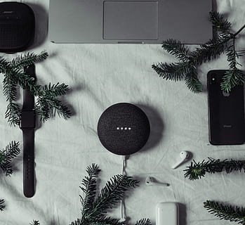 google mini nero, albero, pianta, cuscino, conifera, abete, abies, pino, all'aperto, uccello, animale, Home decor, la neve, natura, inverno, ornamento, viola, tecnologia, bianca, bianco e nero, nessuno, in casa, foglia, parte vegetale, decorazione, pianta in vaso, crescita, ramo, giorno, direttamente sopra, albero di Natale, colore verde, Natale, natura morta, tavolo, comunicazione, 2K, CC0, dominio pubblico, privo di copyright