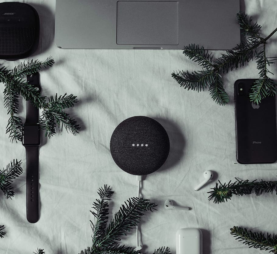 google mini nero, albero, pianta, cuscino, conifera, abete, abies, pino, all'aperto, uccello, animale, Home decor, la neve, natura, inverno, ornamento, viola, tecnologia, bianca, bianco e nero, nessuno, in casa, foglia, parte vegetale, decorazione, pianta in vaso, crescita, ramo, giorno, direttamente sopra, albero di Natale, colore verde, Natale, natura morta, tavolo, comunicazione, 2K