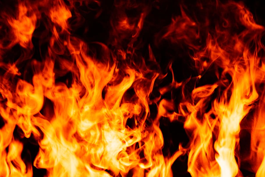 foc, foguera, flama, incendi forestal, naturalesa, a l'aire lliure, muntanya, textura, erupció, volcà, lava, gallina, gallines, ocell, animal, pollastre, aus de corral, vida salvatge, lleó, mamífer, cremant, foc - fenomen natural, calor - temperatura, vermell, infern, groc, signe, color taronja, resum, cap gent, comunicació, tallar, senyal d'advertència, brillant, explosió, fons, encendre, primer pla, espurnes, fons negre, lluminós, 5K