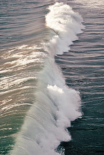 onde oceaniche, all'aperto, mare, oceano, natura, acqua, onde del mare, uccello, animale, tsunami, orso, mammifero, gli sport, fare surf, sport, tempo metereologico, schiuma, litorale, terra, penisola, movimento, onda, energia, potere in natura, bellezza nella natura, nessuno, sport acquatico, giorno, scenics - natura, vigore, lungomare, spruzzi, correre, rottura, colpire, 4K, CC0, dominio pubblico, privo di copyright