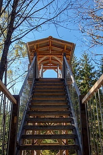 Torre, autunno, cielo, architettura, natura, turismo, Germania, romantico, umore, Bavaria-Fischbachau, vista, torre di osservazione, illuminazione, struttura costruita, albero, pianta, giorno, scala, direzione, Inquadratura dal basso, la strada davanti, nessuno, gradini e scale, all'aperto, metallo, cielo sereno, connessione, ringhiera, foresta, 4K, CC0, dominio pubblico, privo di copyright