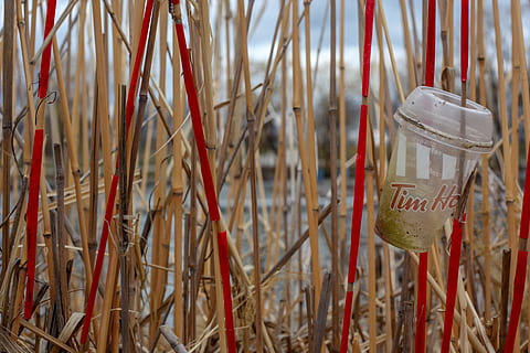 escombraries, plàstic, platja, Pol · lució, palla, vermell, cap gent, primer pla, text, comunicació, centrar-se en primer pla, enfocament selectiu, dia, contenidor, guió occidental, bambú, a l'aire lliure, natura morta, etiqueta, encens, script no occidental, penjant, jar, espiritualitat, bambú - planta, 5K, CC0, domini públic, lliure de regalies