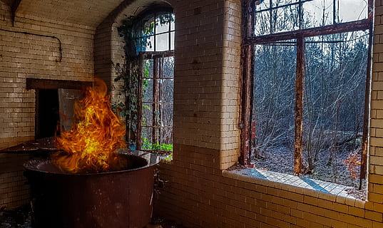 hus, vindue, inde, gammel, henfald, forladt, ild, indendørs, ingen mennesker, træ - materiale, dag, arkitektur, bygget struktur, natur, bygning, glas - materiale, brænding, flamme, brand - naturligt fænomen, plante, varme - temperatur, træ, 2K, CC0, offentligt domæne, royaltyfrie
