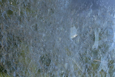 fons, etheral, bombolles, marc complet, aigua, cap gent, naturalesa, mar, dia, davant del mar, vista d’angle alt, a l'aire lliure, sota l'aigua, patró, primer pla, vertebrats, animal, transparent, temes d'animals, ondulat, puresa, 4K, CC0, domini públic, lliure de regalies