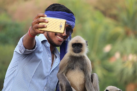 selfie con mono, mono, niño, cámara, teléfono, móvil, fauna silvestre, mamífero, tomar, inteligente, una persona, un animal, gente real, sombrero, centrarse en primer plano, vertebrado, adulto, actividad de ocio, retrato, animales domesticos, vista frontal, estilos de vida, mascotas, nacional, ropa, hombres, al aire libre, 5K, CC0, dominio público, libre de derechos