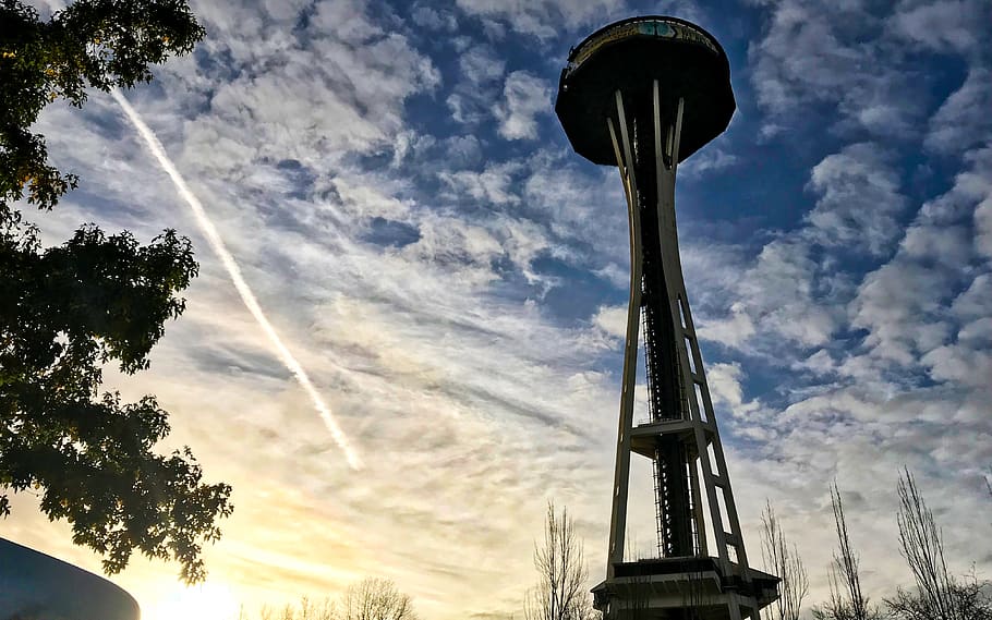 Seattle, spaceneedle, núvol - cel, cel, vista d’angle baix, arquitectura, arbre, estructura construïda, naturalesa, cap gent, dia, torre, planta, silueta, alta - alta, a l'aire lliure, metall, art i artesania, exterior de l'edifici, columna arquitectònica, equips d’il·luminació, història, 4K