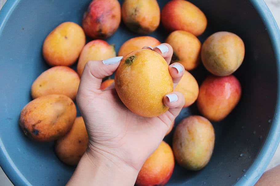modne mangoer, frugt, orange, flora, mad, grapefrugt, plante, citrus frugt, fremstille, skål, mango, fersken, abrikos, bedrift, hånd, holde frugt, frisk frugt, gul, tropisk, neglelak, hvide negle, mad og drikke, menneskelig hånd, sund kost, velvære, friskhed, menneskelig kropsdel, tæt på, en person, indendørs, orange farve, sund livsstil, fokus på forgrunden, dag, husholdningsudstyr, organisk, moden, 5K