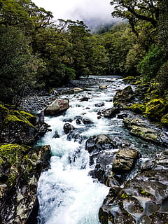 que flueix, corrent, envoltat, arbres, aigua, naturalesa, a l'aire lliure, rierol, Nova Zelanda, riu, fons de pantalla, plujós, núvols, pedres, aigua blava, canviant d'humor, camp, desert, cascada, planta, arbre, runes, bellesa a la natura, bosc, aigua que flueix, rock, escenics - natura, sòlid, rock - object, moviment, terra, cap gent, creixement, escena no urbana, dia, rierol: aigua que flueix, poder a la natura, selva tropical, 4K, CC0, domini públic, lliure de regalies