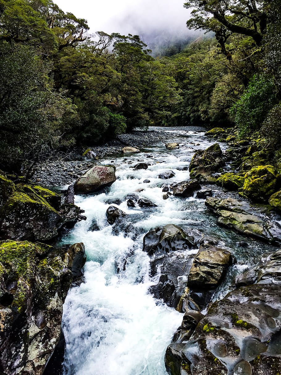 que flueix, corrent, envoltat, arbres, aigua, naturalesa, a l'aire lliure, rierol, Nova Zelanda, riu, fons de pantalla, plujós, núvols, pedres, aigua blava, canviant d'humor, camp, desert, cascada, planta, arbre, runes, bellesa a la natura, bosc, aigua que flueix, rock, escenics - natura, sòlid, rock - object, moviment, terra, cap gent, creixement, escena no urbana, dia, rierol: aigua que flueix, poder a la natura, selva tropical, 4K