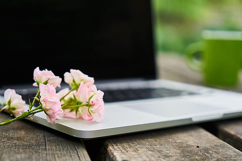 technologie, computer, toetsenbord, bloem, natuur, werk, het werk, koffie, kantoor, tafel, macro, hout, ochtend-, Goedemorgen, Cursus, mooi, kop, cafe, drank, restaurant, laptop, bloeiende plant, fabriek, roze kleur, hout - materiaal, versheid, geen mensen, detailopname, schoonheid in de natuur, bloemhoofd, focus op de voorgrond, dag, stilleven, binnenshuis, breekbaarheid, selectieve aandacht, Draadloze technologie, bloemstuk, 5K, CC0, publiek domein, royaltyvrij