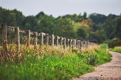 cerca, acera, paisaje, bremen, naturaleza, cielo, Weser, estado animico, árbol, otoño, reflexión, idílico, escénico, campos, recuperación, reportado, rural, planta, hierba, tierra, enfoque selectivo, escena tranquila, nadie, tranquilidad, crecimiento, color verde, día, belleza en la naturaleza, en una fila, ambiente, campo, sendero, escena no urbana, al aire libre, 5K, CC0, dominio público, libre de derechos